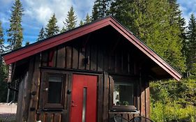 Stuga i Transtrand